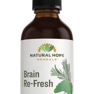 Brain Re-Fresh