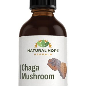 Chaga Mushroom