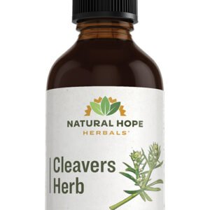 Cleavers Herb