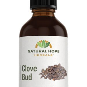 Clove Bud