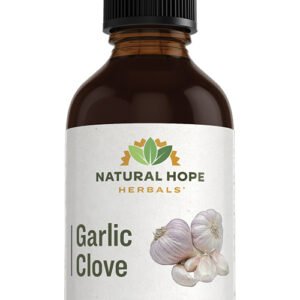 Garlic Clove