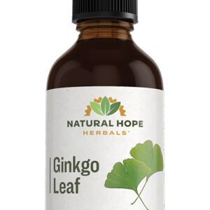 Ginkgo Leaf