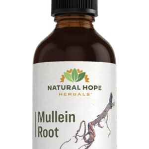Mullein Root
