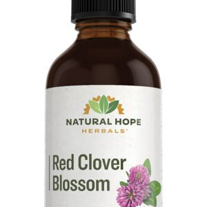 Red Clover Blossom