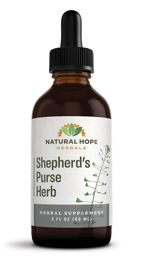 Shepherd’s Purse Herb