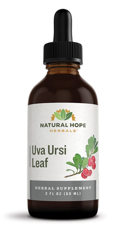 Uva Ursi Leaf